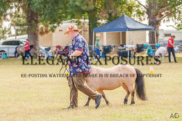 _AJG4854
