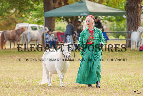 _AJG4863