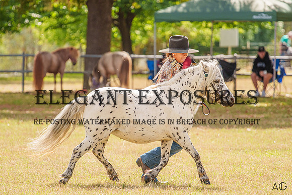 _AJG5164