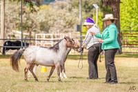 _AJG5416