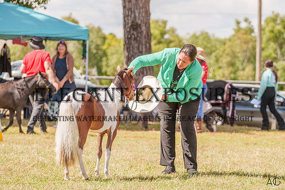 _AJG5459