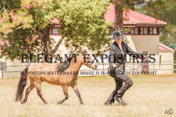 _AJG5515
