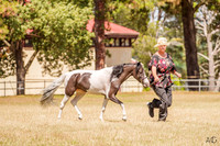 _AJG5831