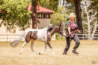 _AJG5832