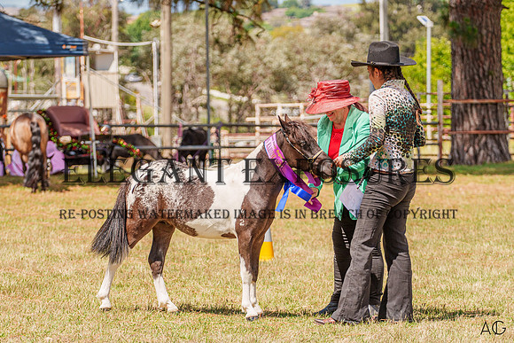 _AJG5899