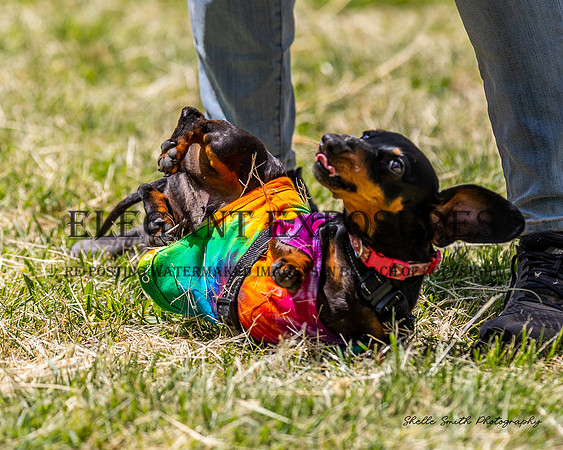 MAS_7990