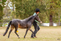_AJG7962