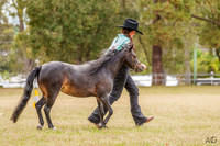 _AJG7963