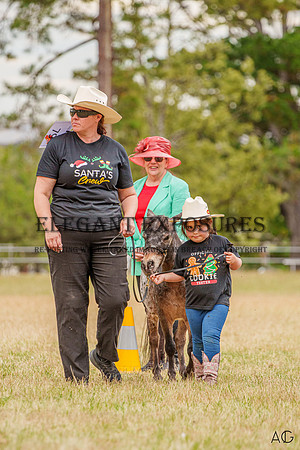 _AJG8124