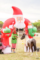 IMHR - Yass Christmas Show - 02.12.2023