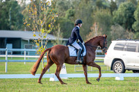 OLS_2511