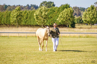 Bowral Show - Hack Ring 5 -  Sun 12.01.2025