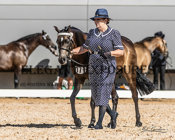 MKG_0091
