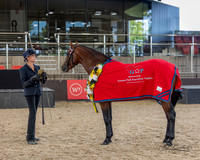 Ponies by the Sea - Grand Champ Led Pony - 09.12.2023