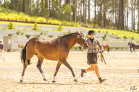 Ponies by the Sea - Led Classes- Ring 2 - 09.12.2023