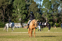 OLS_2696