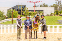 Ponies by the Sea - Led Classes - 09.12.2023