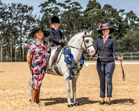 Ponies by the Sea - Ridden Classes- Ring 3 - 09.12.2023