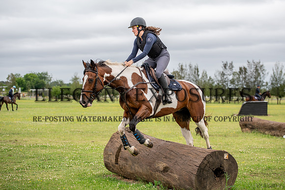 OLS_6925