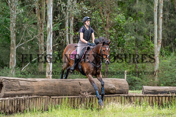 OLS_7098