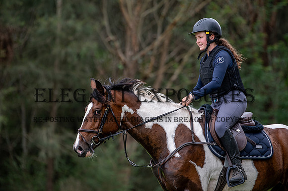 OLS_7189