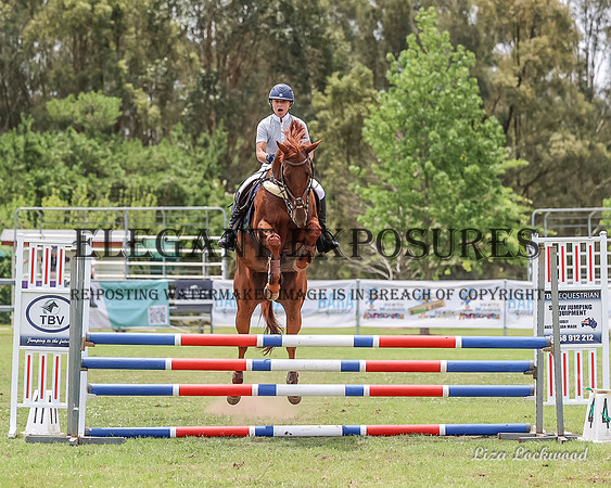 LHL(MG)-5085