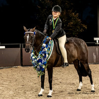 Ponies by the Sea - APSB Champion  - 09.12.2023