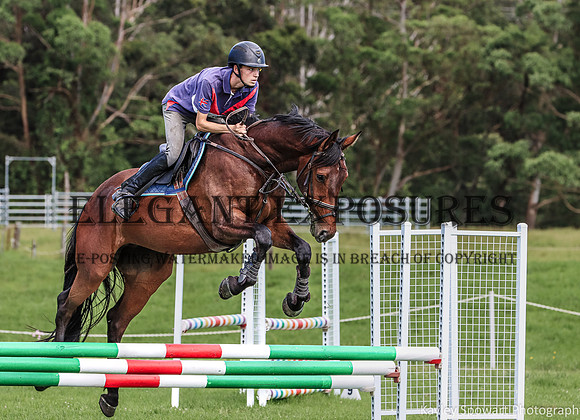 KMS-7335