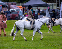 MAS_4601