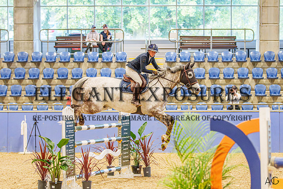 _AJG8376-Enhanced-NR
