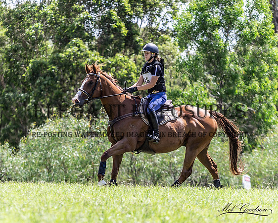 MKG_0704