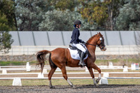 OLS_6838