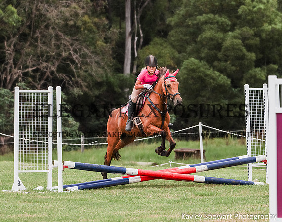 KMS-9970