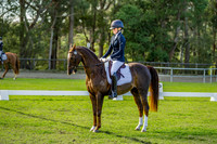 SM-DSC00925