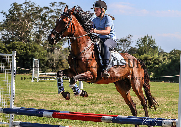 KMS-1871