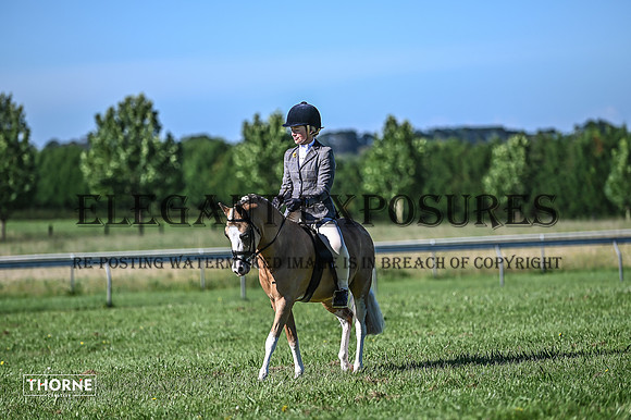 TMH-098