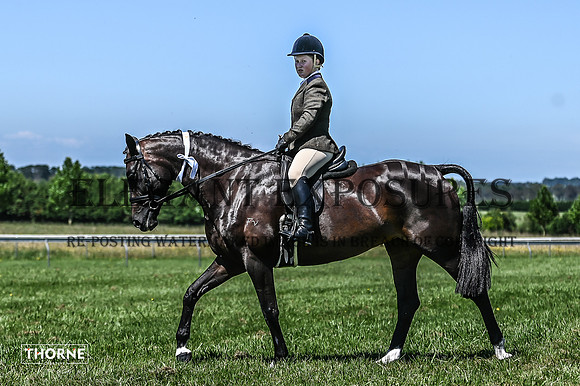 TMH-456