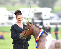 Bowral Show - Hack Ring 4 -  8:30am-10:30am 14.01.2024