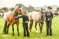 Bowral Show - Hack Ring 4 -  10:31am-12:30pm 14.01.2024