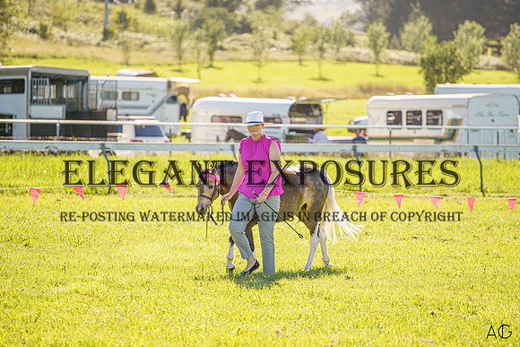 _AJG2516