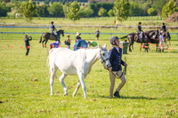 _AJG2534