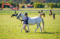_AJG2546