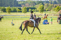 _AJG2638