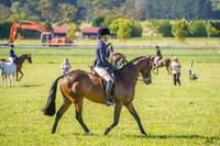 _AJG2644