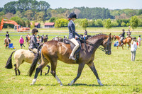 _AJG3647