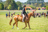 _AJG3649