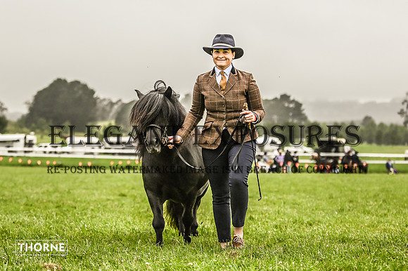 TMH-0901