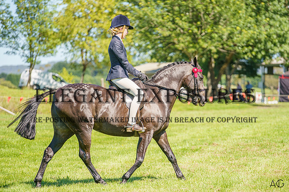 _AJG3436