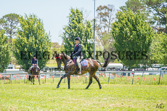 _AJG4231
