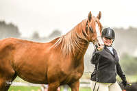 Bowral Show - Hack Ring 3 -   14.01.2024